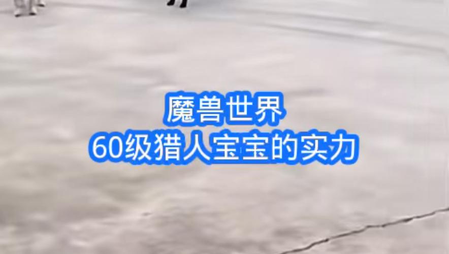 魔兽世界猎人宝宝-魔兽世界猎人宝宝大全及坐标 第1张 魔兽世界猎人宝宝-魔兽世界猎人宝宝大全及坐标 第1张