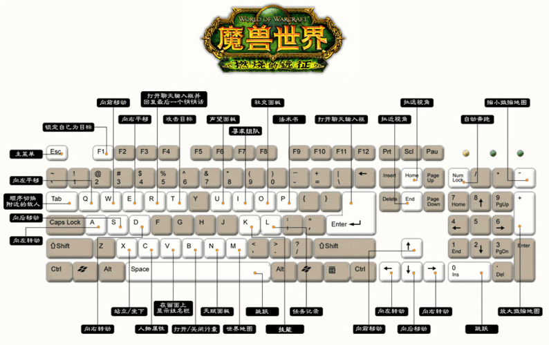 魔兽世界怎么玩-魔兽世界怎么玩新手教学 第1张 魔兽世界怎么玩-魔兽世界怎么玩新手教学 第1张