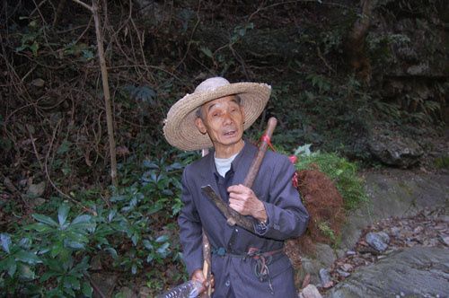 采药1-600攻略-采药+5